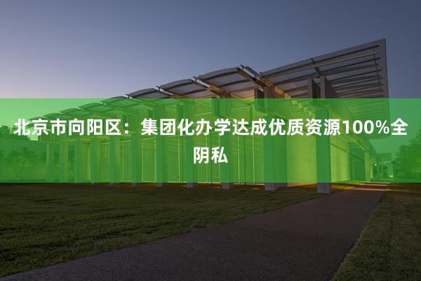 北(běi)京市(shì)向陽區(qū)：集團化(huà)辦學達成優質資源100%全陰私