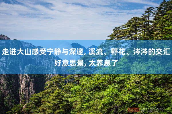走進大(dà)山(shān)感受甯靜(jìng)與深邃, 溪流、野花(huā)、涔涔的(de)交彙好(hǎo)意思景, 太養息了(le)