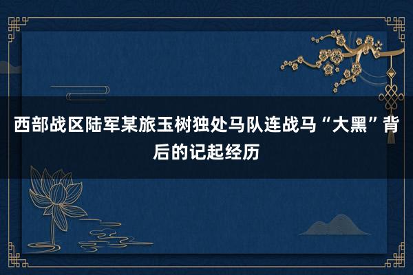 西(xī)部戰區(qū)陸軍某旅玉樹(shù)獨處馬隊連戰馬“大(dà)黑(hēi)”背後的(de)記起經曆