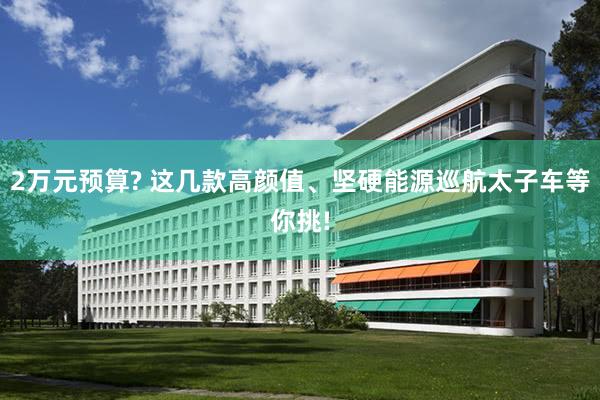 2萬元預算(suàn)? 這(zhè)幾款高(gāo)顔值、堅硬能(néng)源巡航太子(zǐ)車(chē)等你(nǐ)挑!