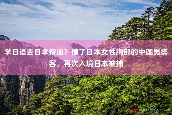 學日(rì)語去(qù)日(rì)本揩油？摸了(le)日(rì)本女(nǚ)性胸部的(de)中國(guó)男(nán)搭客，再次入境日(rì)本被捕