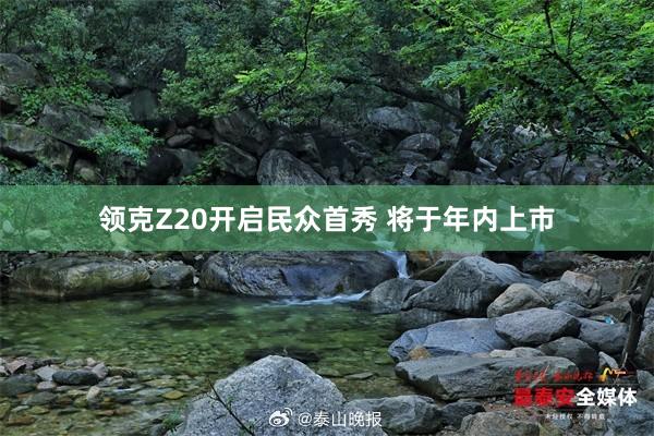 領克Z20開(kāi)啓民(mín)衆首秀 将于年(nián)內(nèi)上(shàng)市(shì)