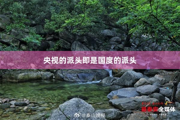 央視(shì)的(de)派頭即是(shì)國(guó)度的(de)派頭