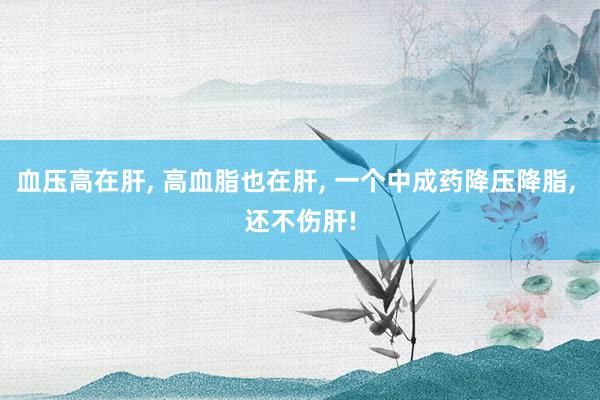 血壓高(gāo)在肝, 高(gāo)血脂也(yě)在肝, 一(yī)個(gè)中成藥降壓降脂, 還(hái)不(bù)傷肝!