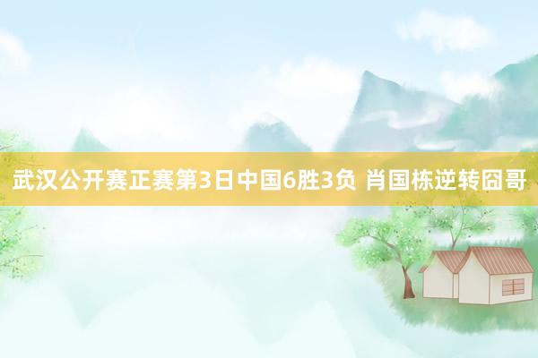 武漢公開(kāi)賽正賽第3日(rì)中國(guó)6勝3負 肖國(guó)棟逆轉囧哥(gē)