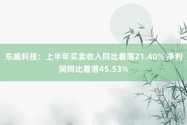 東(dōng)威科(kē)技(jì)：上(shàng)半年(nián)買賣收入同比著(zhe)落21.40% 淨利潤同比著(zhe)落45.53%