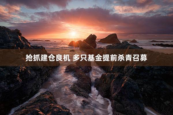 搶抓建倉良機(jī) 多(duō)隻基金(jīn)提前殺青召募