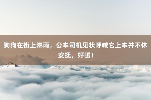 狗狗在街(jiē)上(shàng)淋雨(yǔ)，公車(chē)司機(jī)見(jiàn)狀呼喊它上(shàng)車(chē)并不(bù)休安撫，好(hǎo)暖！
