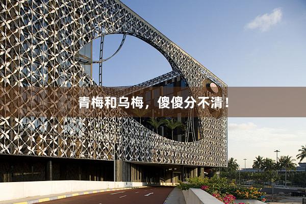 青梅和(hé)烏梅，傻傻分(fēn)不(bù)清！