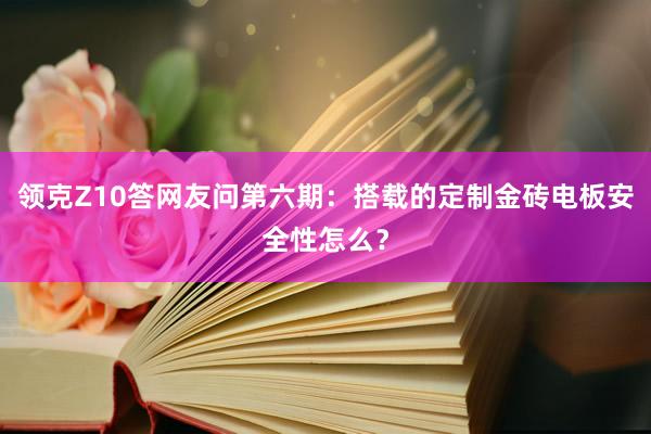 領克Z10答(dá)網友(yǒu)問(wèn)第六期：搭載的(de)定制(zhì)金(jīn)磚電(diàn)闆安全性怎麽？